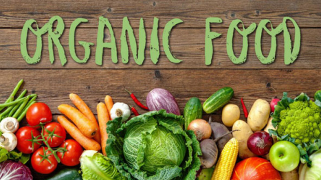 Organic Food is Transforming the Health and Wellness Industry in India